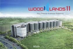 Woodlands 11 - For Lease (D25), Factory #216145691